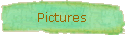 Pictures